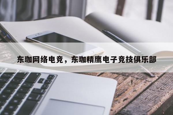 东珈网络电竞，东珈精鹰电子竞技俱乐部