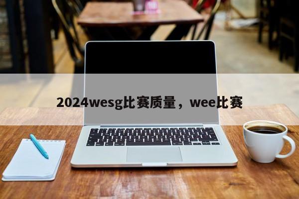 2024wesg比赛质量，wee比赛