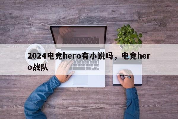 2024电竞hero有小说吗，电竞hero战队