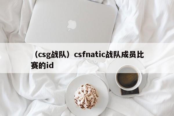 （csg战队）csfnatic战队成员比赛的id