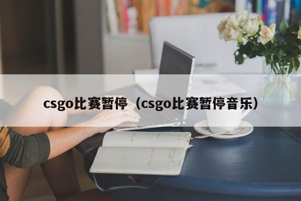 csgo比赛暂停（csgo比赛暂停音乐）