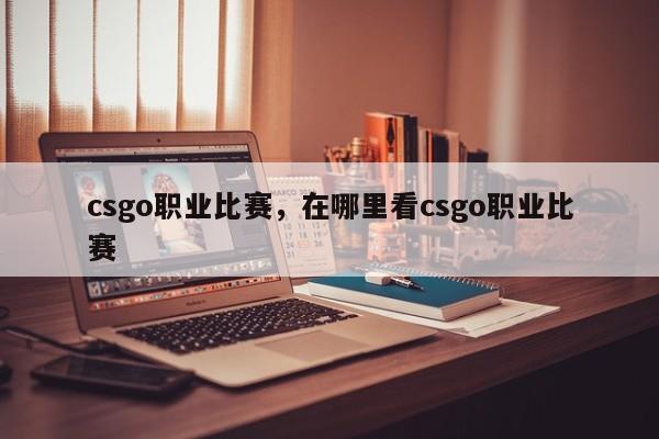 csgo职业比赛，在哪里看csgo职业比赛