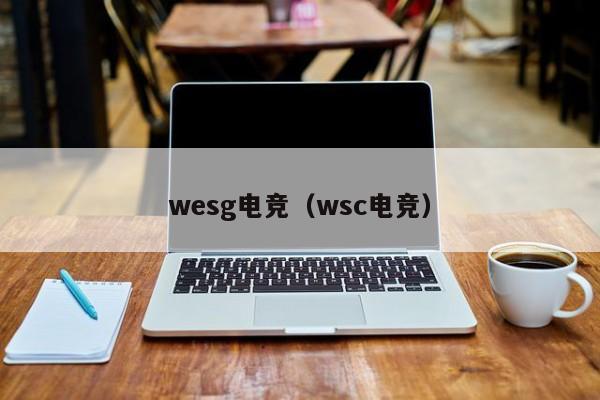 wesg电竞（wsc电竞）