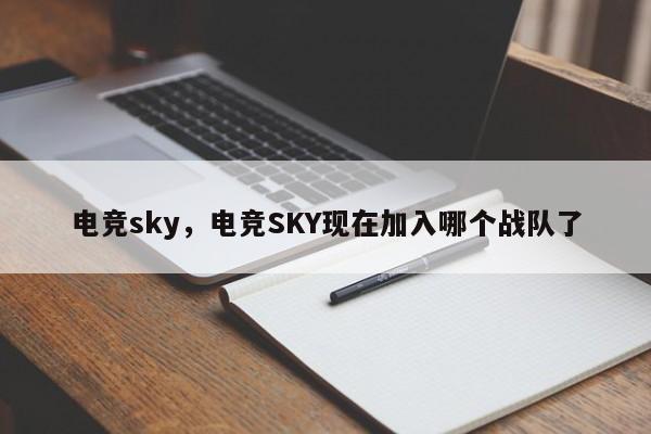 电竞sky，电竞SKY现在加入哪个战队了