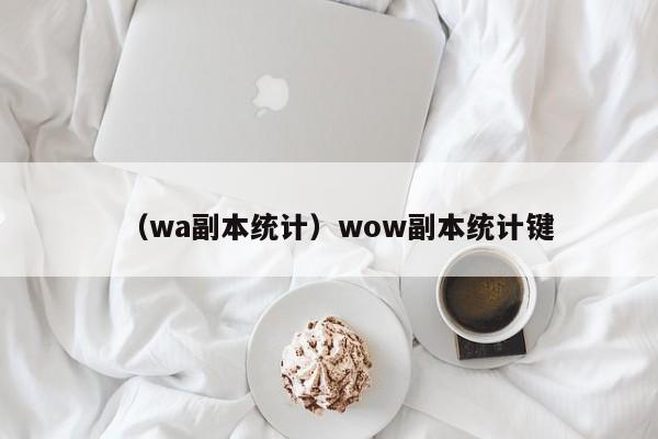 （wa副本统计）wow副本统计键