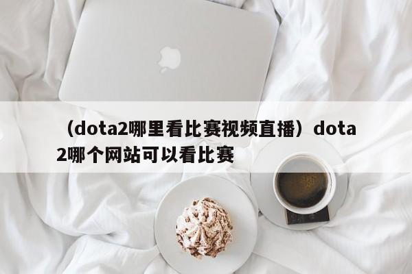 （dota2哪里看比赛视频直播）dota2哪个网站可以看比赛