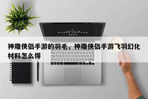 神雕侠侣手游的羽毛，神雕侠侣手游飞羽幻化材料怎么得