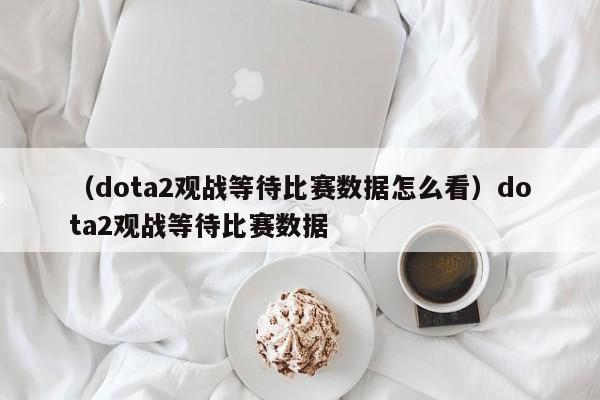 （dota2观战等待比赛数据怎么看）dota2观战等待比赛数据