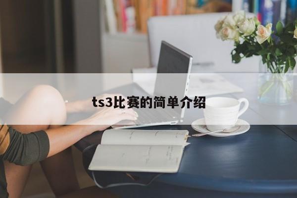 ts3比赛的简单介绍