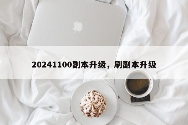 20241100副本升级，刷副本升级