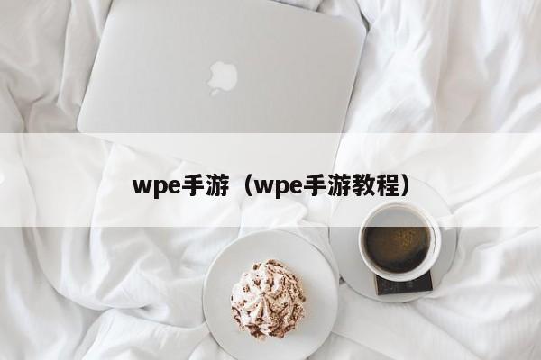 wpe手游（wpe手游教程）