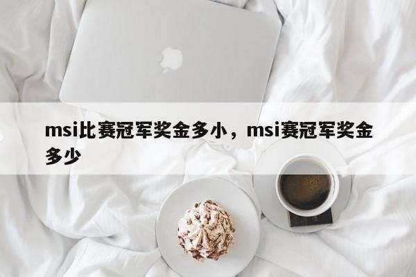 msi比赛冠军奖金多小，msi赛冠军奖金多少