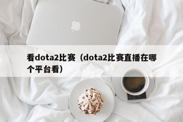 看dota2比赛（dota2比赛直播在哪个平台看）