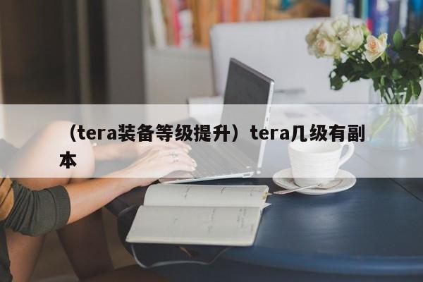 （tera装备等级提升）tera几级有副本