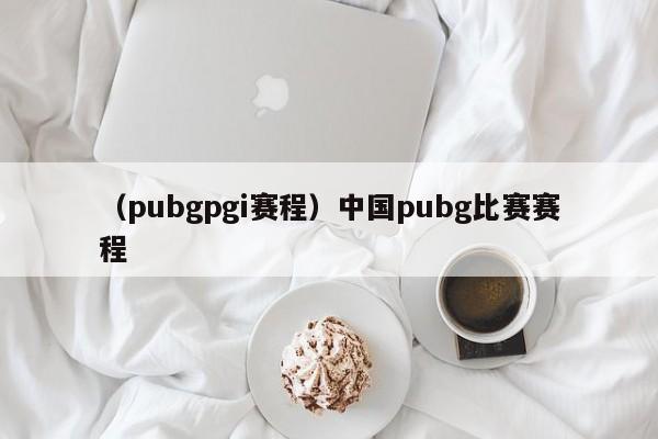 （pubgpgi赛程）中国pubg比赛赛程