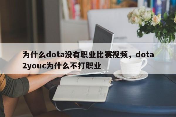 为什么dota没有职业比赛视频，dota2youc为什么不打职业