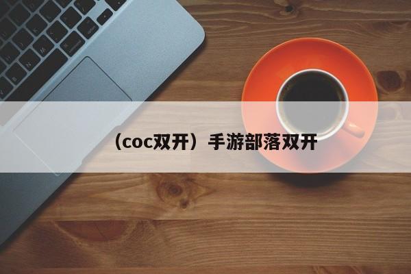 （coc双开）手游部落双开