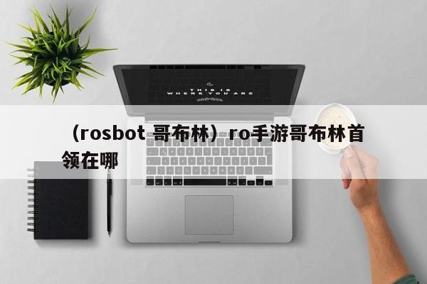 （rosbot 哥布林）ro手游哥布林首领在哪