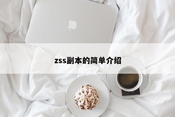 zss副本的简单介绍